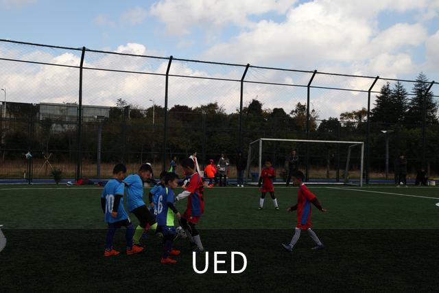 UED公司介绍